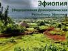 Эфиопия (Федеративная Демократическая Республика Эфиопия)