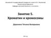 Хроматин и хромосомы. Занятие 5