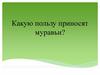 Какую пользу приносят муравьи?