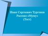 Иван Сергеевич Тургенев. Рассказ «Муму». Тест