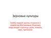 Растениеводство. Зерновые культуры