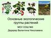 Основные экологические группы растений