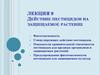 Действие пестицидов на защищаемое растение. (Лекция 9)