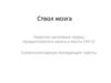 Ствол мозга. Черепно-мозговые нервы продолговатого мозга и моста (XII-V)