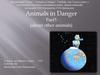 Animals in danger. About other animals