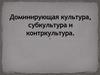 Доминирующая культура, субкультура и контркультура