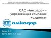 ОАО «Амкодор» - управляющая компания холдинга