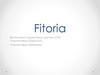 Fitoria. Метод генерации идей