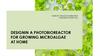 Designin a photobioreactor for growing microalgae at home