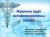 Жұқпалы үрдіс патофизиологиясы. Сепсис