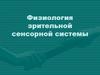 Физиология зрительной сенсорной системы