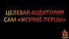 Целевая аудитория САМ «Жгучие перцы»