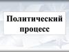 Политический процесс