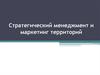 Стратегический менеджмент и маркетинг территорий