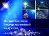 Магнитное поле. Вектор магнитной индукции