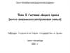 Система общего права (англо-американская правовая семья)