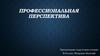 Профессиональная перспектива