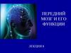 Передний мозг и его функции. Лекция 8
