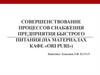 Совершенствование процессов снабжения предприятия быстрого питания кафе «Ori Puri»