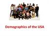 Demographics of the USA