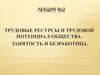Трудовые ресурсы и трудовой потенциал общества. Занятость и безработица. (Лекция 2)