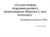 Остатки бобров позднемиоценового происхождения (Морская 2, мыс Богатырь)