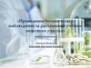 Проведение ботанических наблюдений за растениями учебно-опытного участка