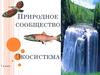 Природное сообщество. Экосистема