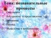 Познавательные процессы