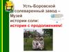 Усть-Боровской солеваренный завод – Музей истории соли: история с продолжением!