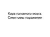 Кора головного мозга. Симптомы поражения