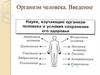Организм человека. Введение