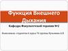 Функция внешнего дыхания