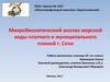Микробиологический анализ морской воды платного и муниципального пляжей г. Сочи