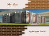 My flat