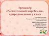 Растительный мир Земли. Тренажёр