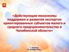 Действующие механизмы поддержки и развития экспортно ориентированных СМиСП в Челябинской области