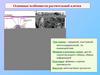 Основные особенности растительной клетки