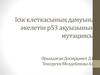 Ісік клеткасының дамуына әкелетін р53 ақуызының мутациясы
