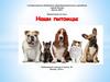 Домашние животные – наши верные друзья