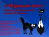 «Чёрный кот» музыка Ю.Саульского слова М.Танича