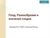 Плод. Разнообразие и значение плодов. 6 класс