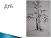 Рисунки деревьев