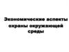 Экономические аспекты охраны окружающей среды. (Глава 17)