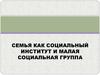 Семья как социальный институт и малая социальная группа
