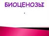 Биоценозы. Лекция 10