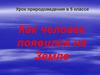 Как человек появился на Земле. Урок природоведения в 5 классе