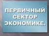 Первичный сектор экономики
