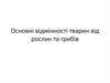 Відмінності тварин від рослин та грибів