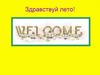 Викторина "Здравствуй лето"